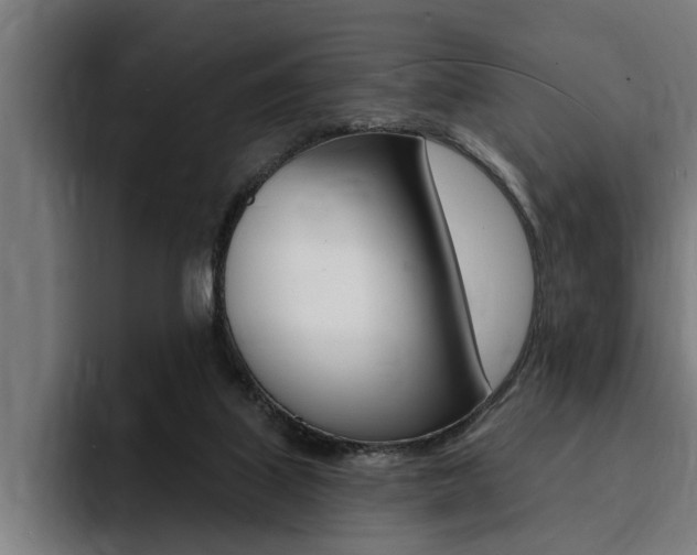 X0000094420067200711081007