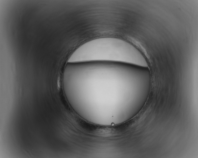 X0000094420069200711081007