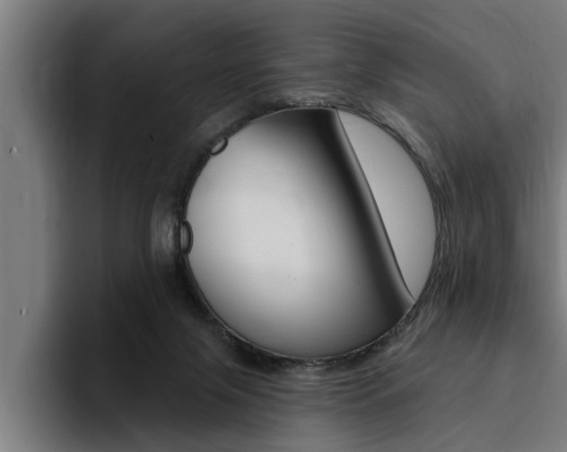 X0000094420071200711081007