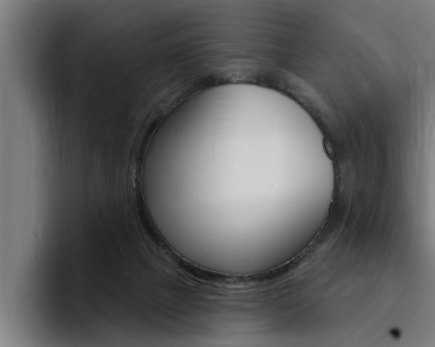 X0000094420073200711081007