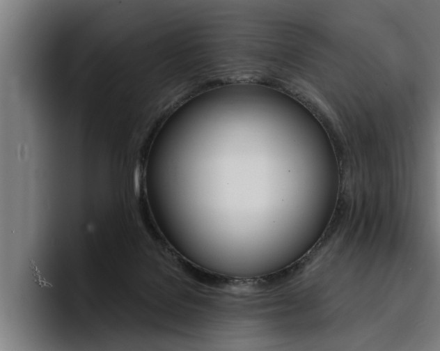 X0000094420076200711081007