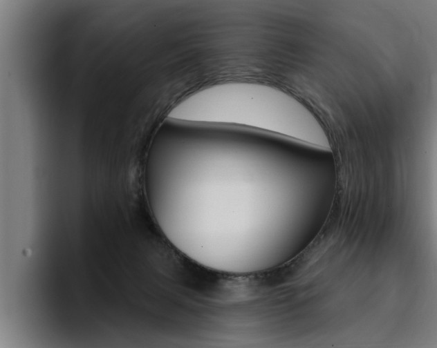 X0000094420079200711081007