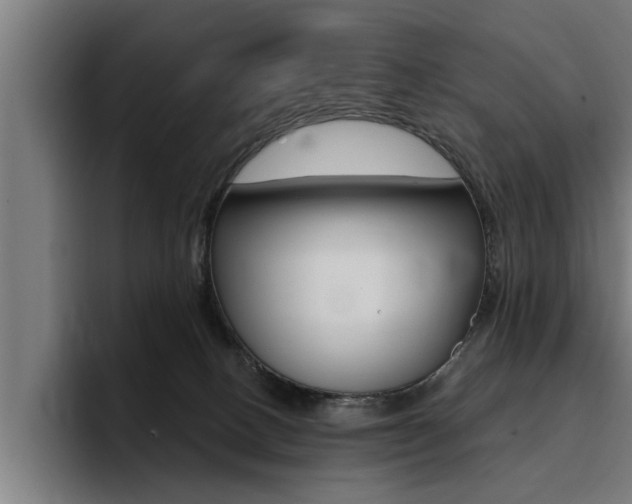 X0000094420082200711081007