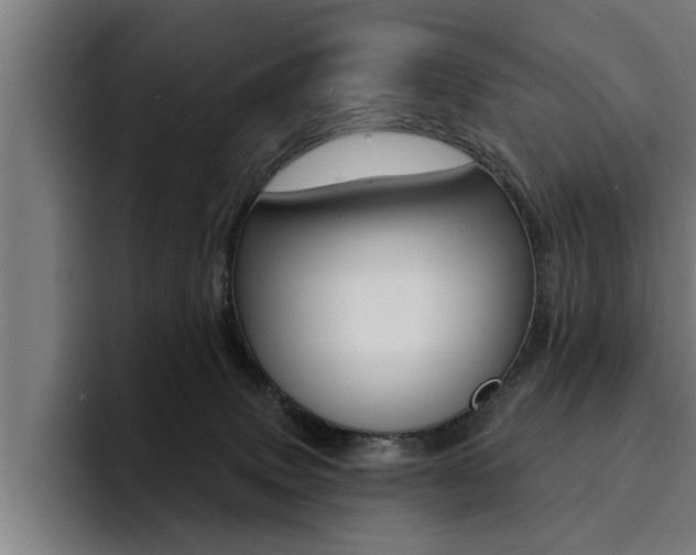 X0000094420083200711081007
