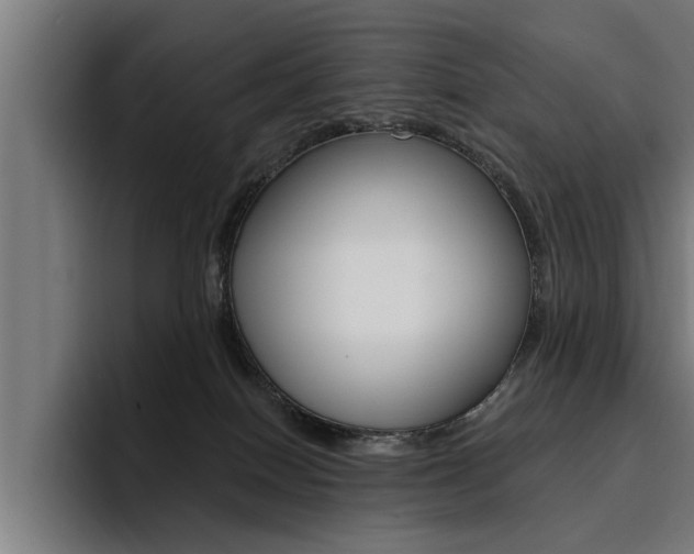 X0000094420086200711081007