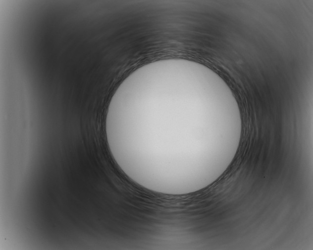 X0000094420088200711081007