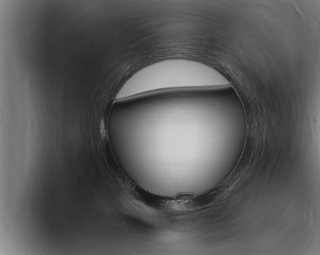 X0000094420089200711081007