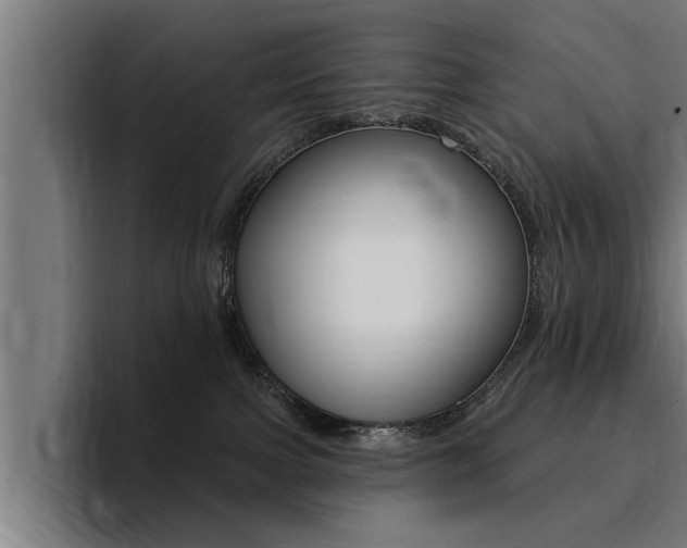 X0000094420091200711081007