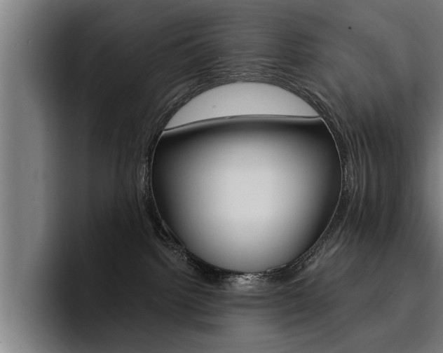 X0000094420092200711081007