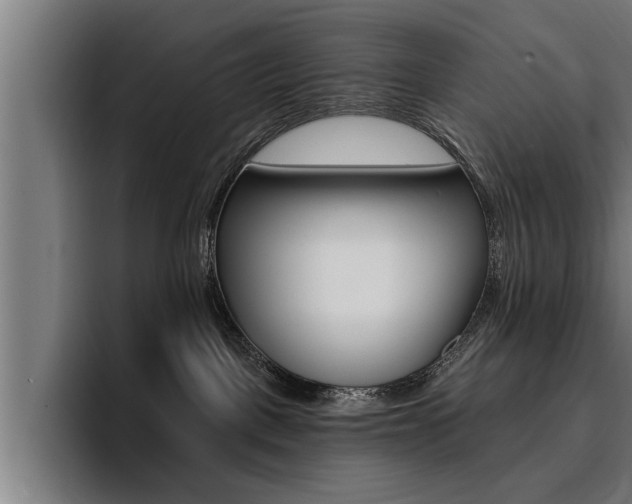 X0000094420093200711081007