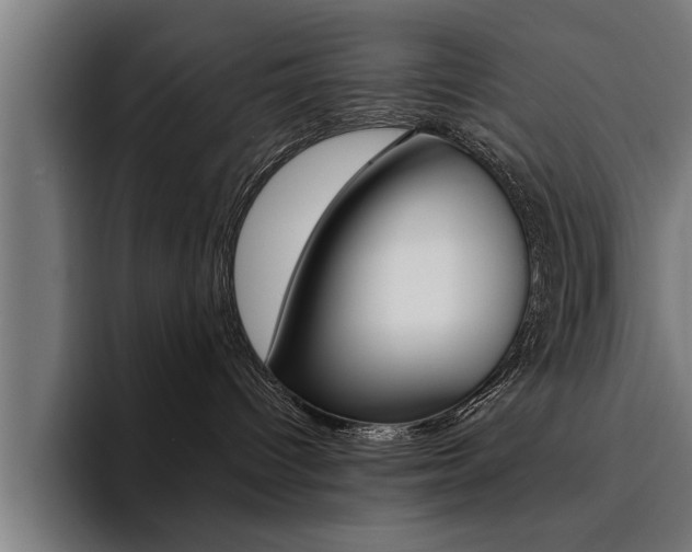 X0000094420096200711081007