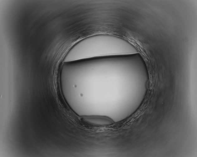 X0000094420098200711081007