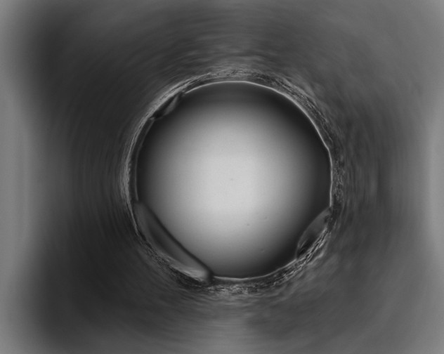 X0000094420100200711081007