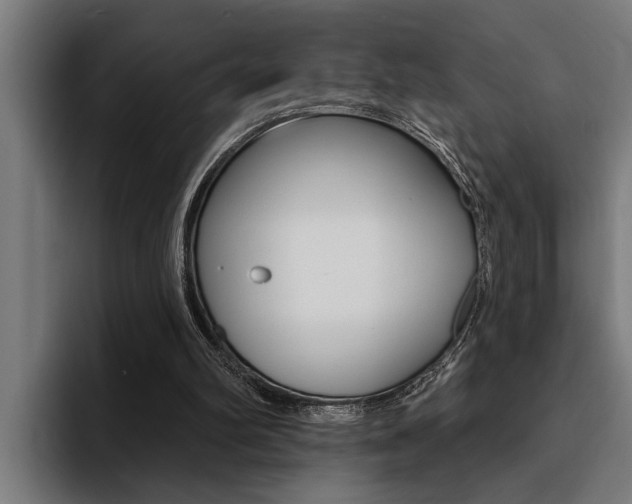 X0000094420102200711081007