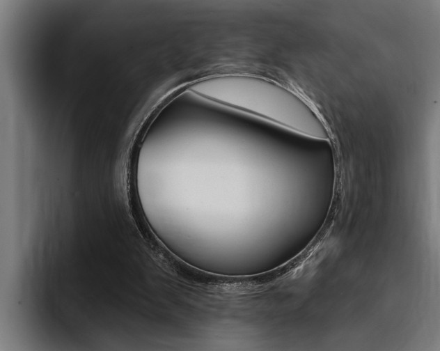 X0000094420103200711081007