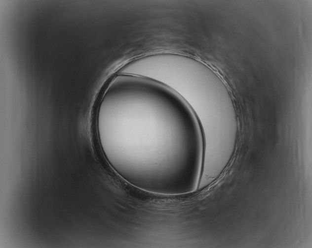 X0000094420104200711081007