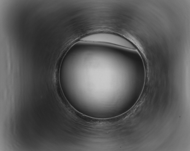 X0000094420105200711081007