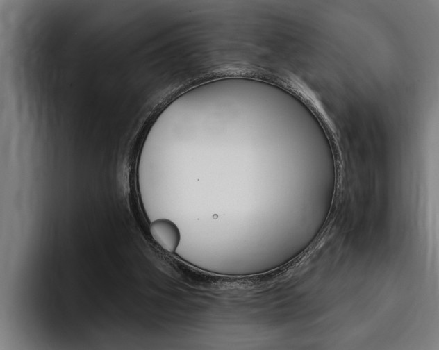 X0000094420106200711081007