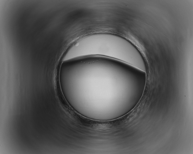 X0000094420107200711081007