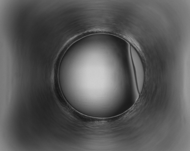 X0000094420108200711081007