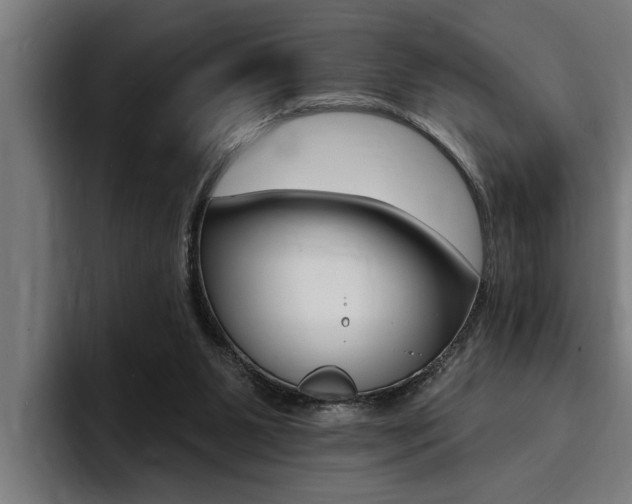 X0000094420111200711081007