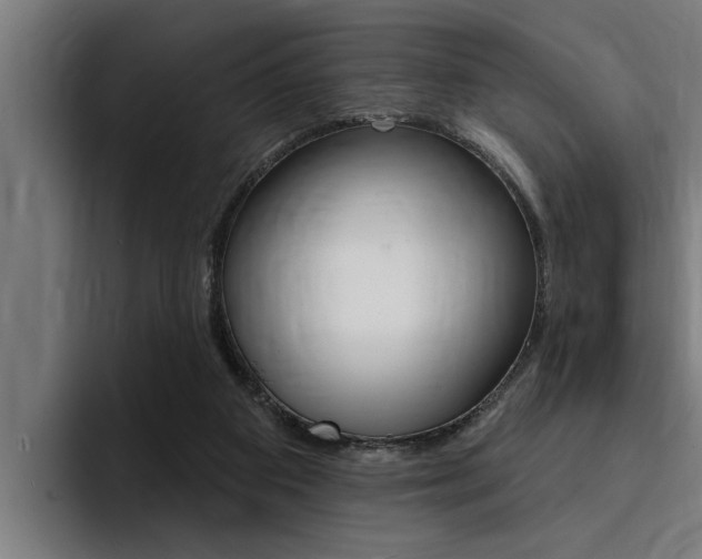 X0000094420113200711081006