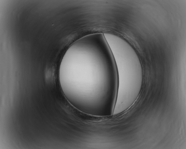 X0000094420116200711081006