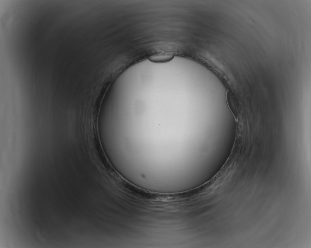 X0000094420117200711081006