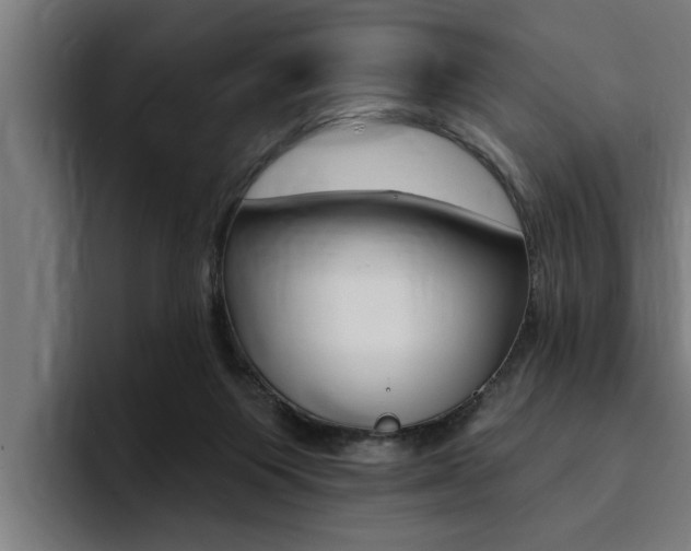 X0000094420119200711081006