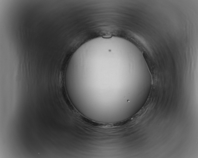X0000094420121200711081006