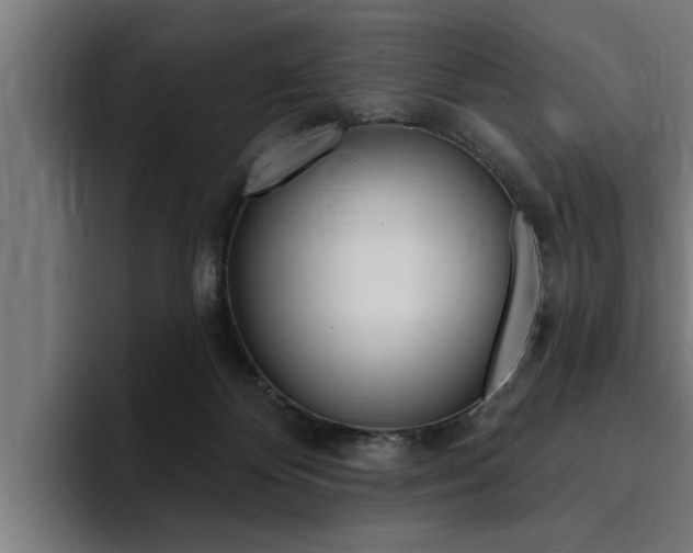 X0000094420124200711081006