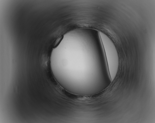 X0000094420125200711081006