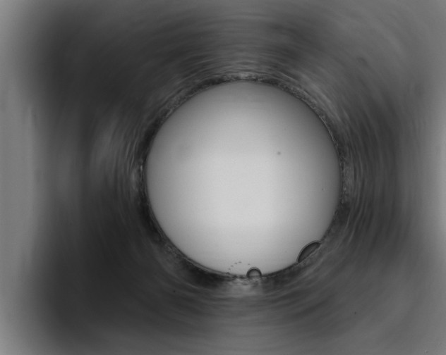 X0000094420126200711081006