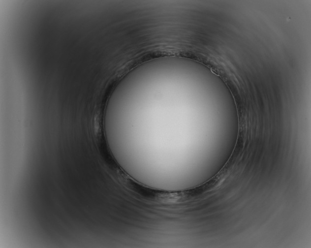 X0000094420131200711081006