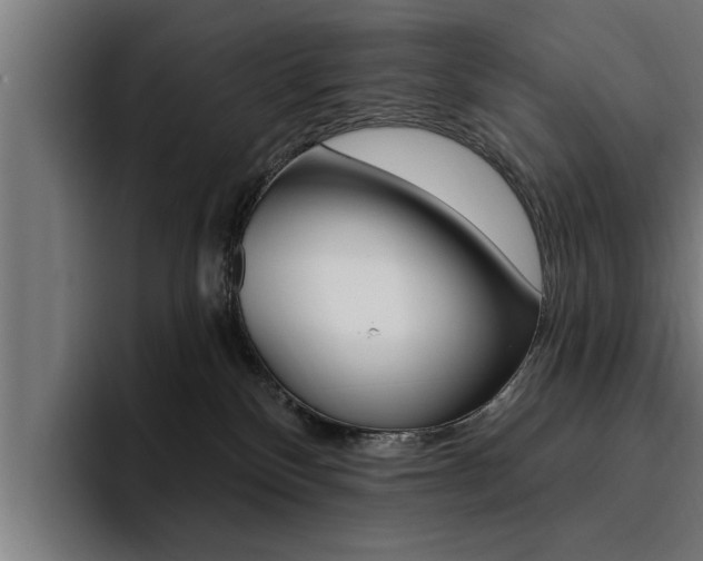 X0000094420136200711081006