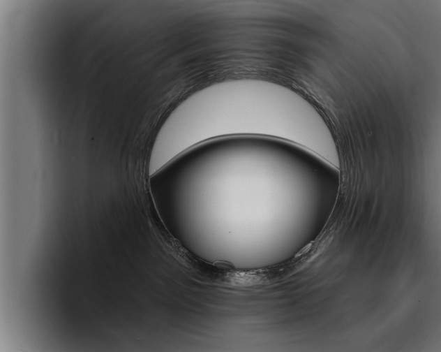 X0000094420141200711081006
