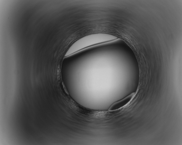 X0000094420144200711081006