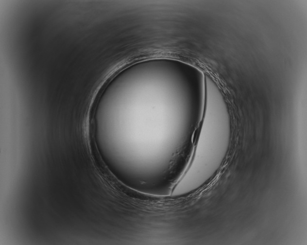 X0000094420148200711081005