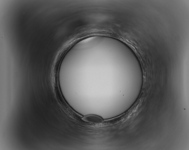 X0000094420149200711081006