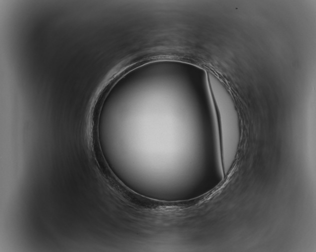 X0000094420150200711081006