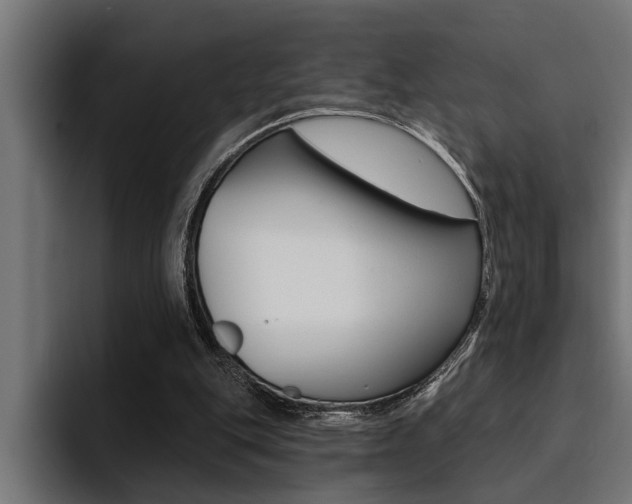 X0000094420151200711081006