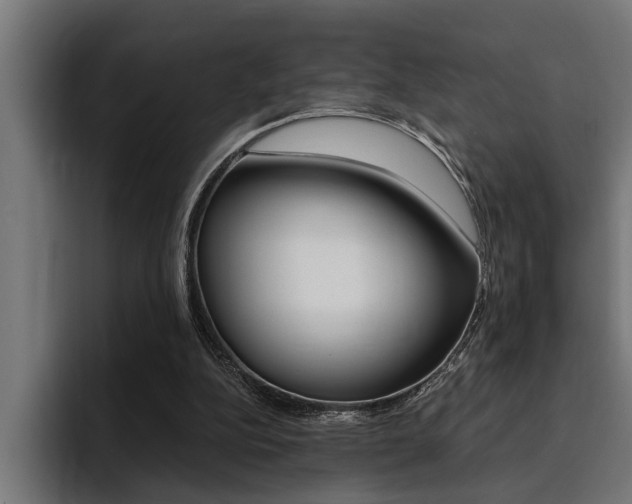 X0000094420152200711081006