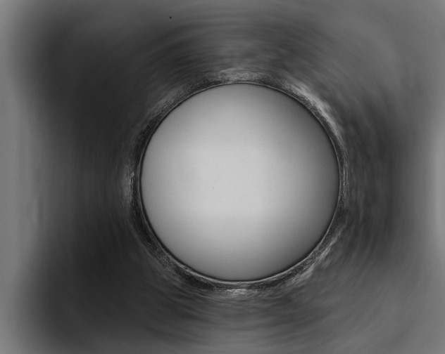X0000094420153200711081006