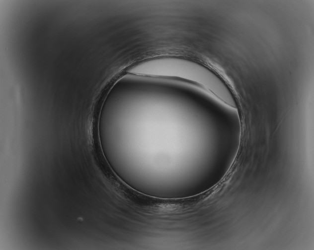 X0000094420154200711081006