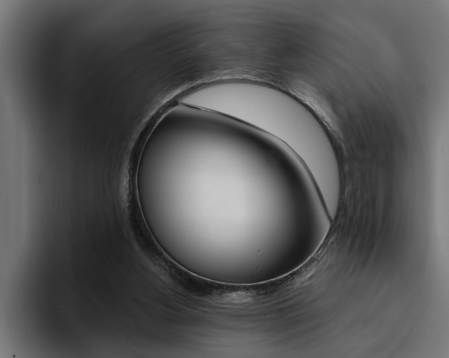 X0000094420156200711081006