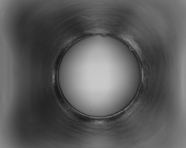 X0000094420157200711081006