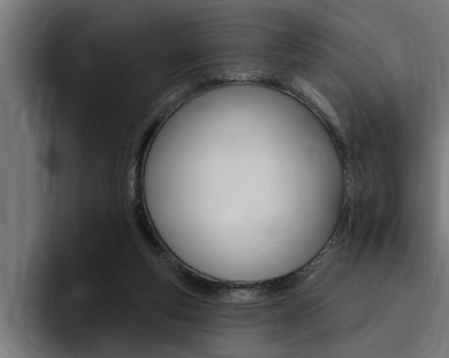 X0000094420163200711081006