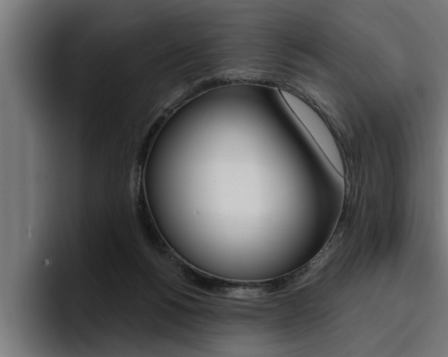 X0000094420168200711081006