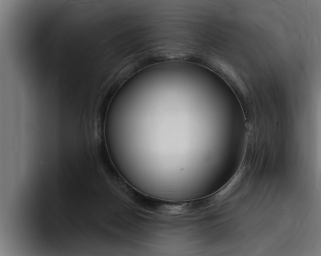 X0000094420170200711081006