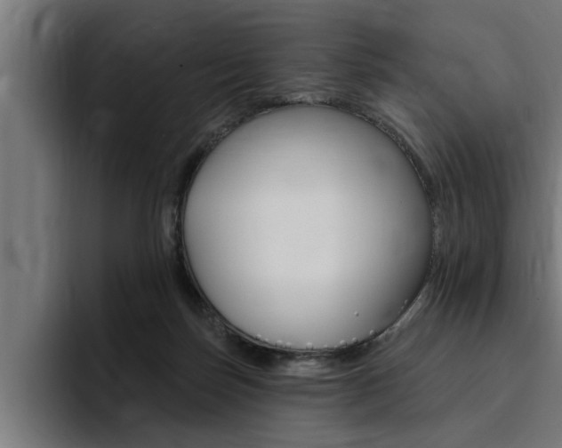 X0000094420171200711081006